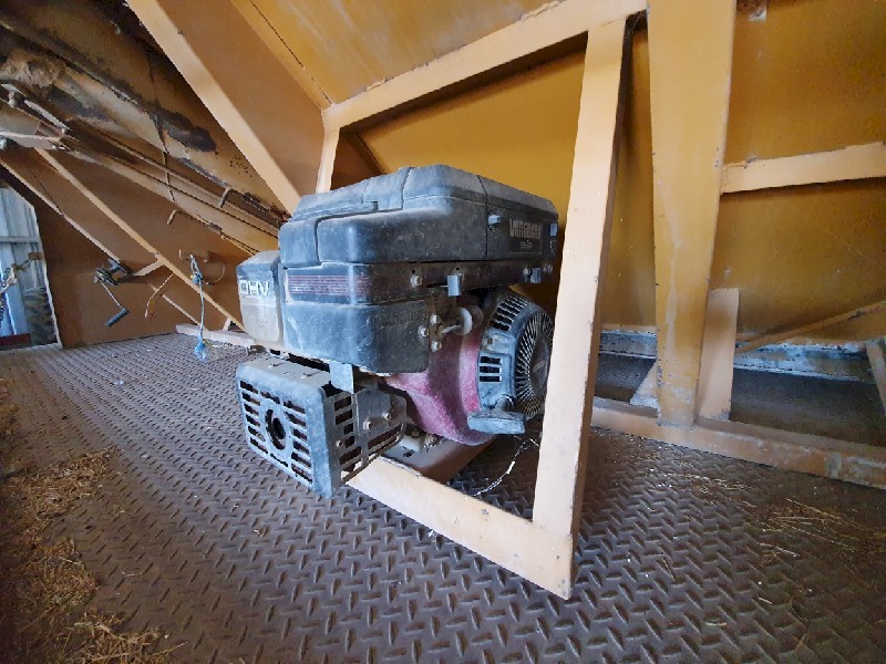 Cole HD800 Grouper
