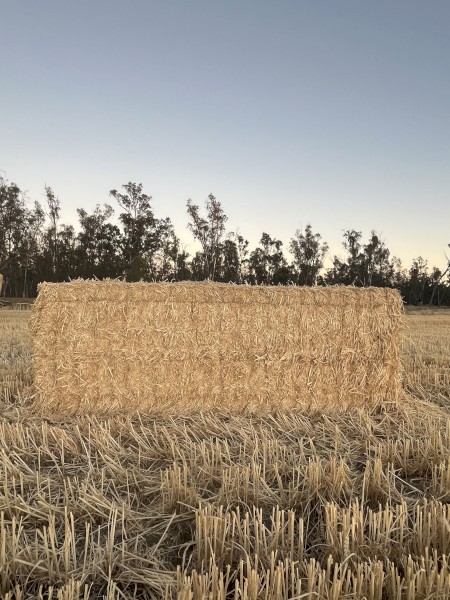1000 x Wheaten Straw 8x4x3 Bales