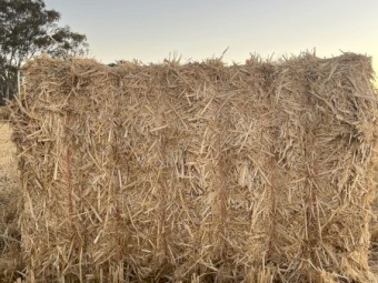 1000 x Wheaten Straw 8x4x3 Bales