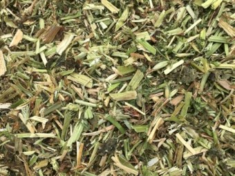 2020 Clover hay
