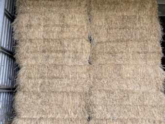 65mt Ryegrass/Clover Pasture Hay 540kg 8x4x3 Bales