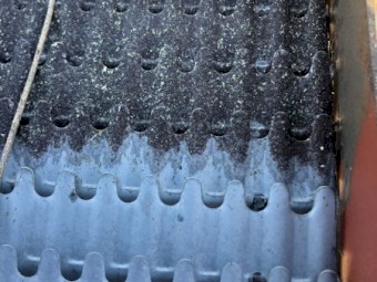 Small Seed Sieves (Canola)