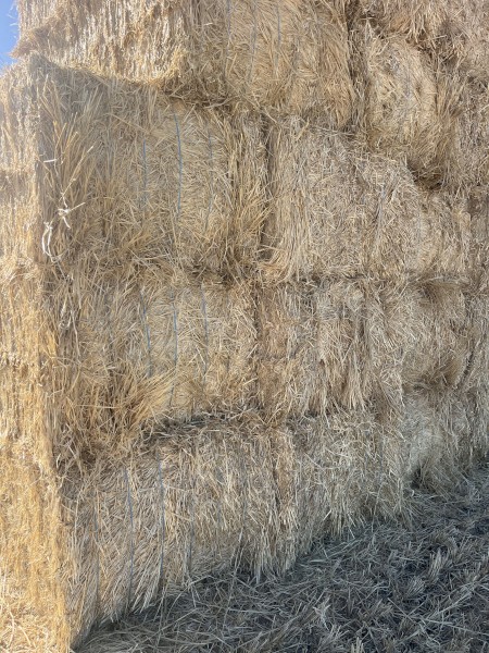 100mt Barley Stripper Straw 450kg 8x4x3 Bales