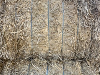 100mt Barley Stripper Straw 450kg 8x4x3 Bales