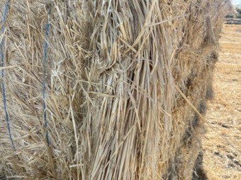 100mt Barley Stripper Straw 450kg 8x4x3 Bales
