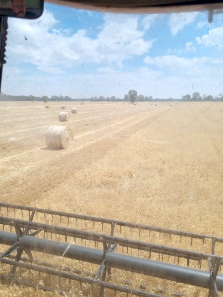 Oaten Straw Round Bales