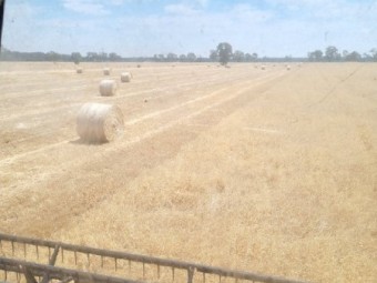 Oaten Straw Round Bales