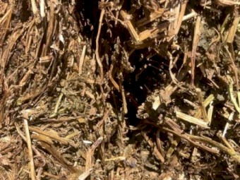 Vetch Hay 8x4x3 Bales
