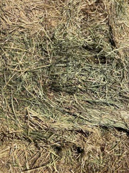 Oaten Hay 640kg 8x4x3 Bales
