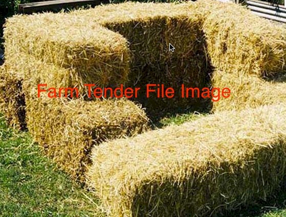 2000 x Pea Straw Small Bales