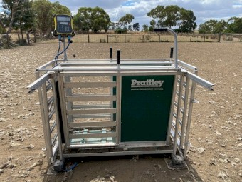Prattley 3 Way Manual Weigh Crate with EW7 Tru-Test indicator & Load Bars.