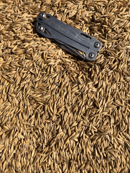 Feed Oats