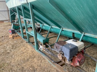 Vennings 20 ft grouper