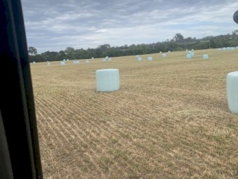 Lucerne silage