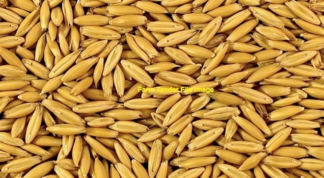 24mt Cleaned Yallara Oats