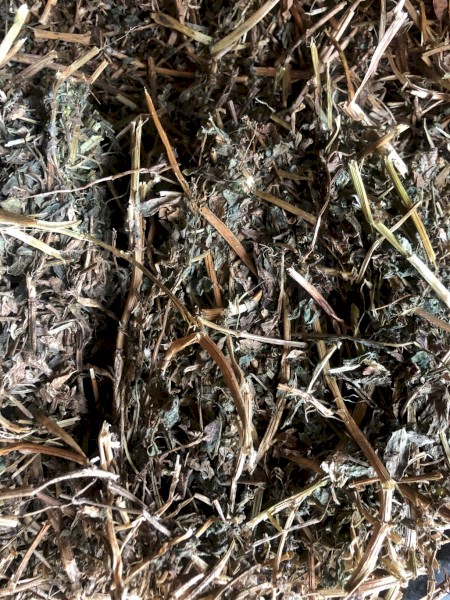 Vetch Hay 8X4X3