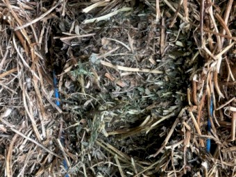 Vetch Hay 8X4X3