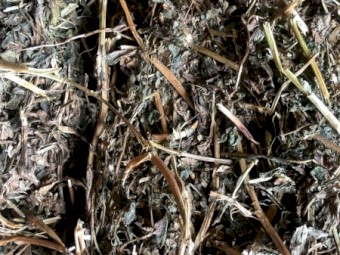 Vetch Hay 8X4X3