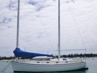 10M Kat-Ketch