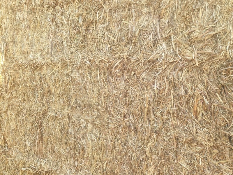 Oaten Hay 8x4x3 Bales, $60 bucks per tonne, way better value than straw
