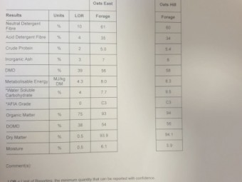 Oaten Hay 8x4x3 Bales, $60 bucks per tonne, way better value than straw
