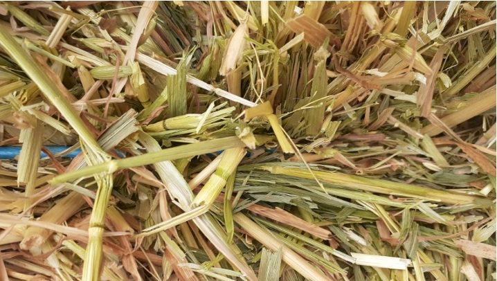 35mt Oaten Hay 8x4x3 Bales (Under Hay Caps)