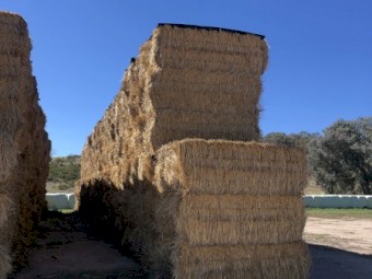 700mt Wheaten Straw 450kg + 8x4x3 Bales