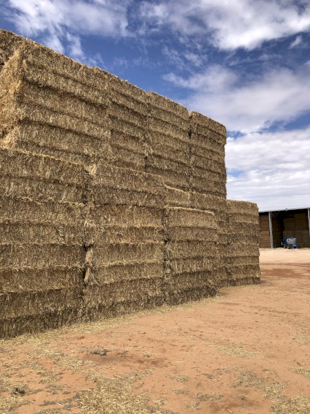 Oaten Hay
