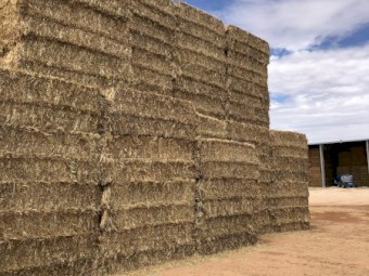 Oaten Hay