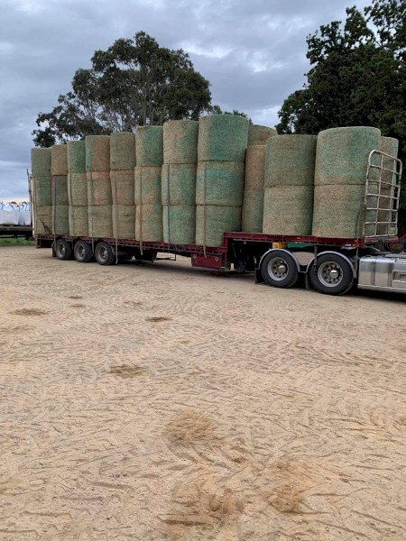 Lucerne Hay/Silage