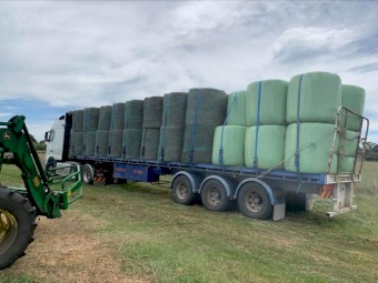 Lucerne Hay/Silage