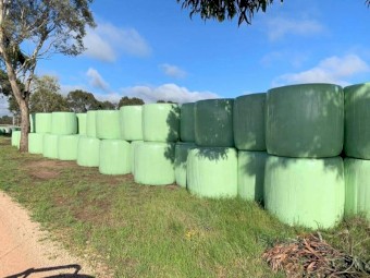 Lucerne Hay/Silage