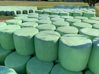 Lucerne Hay/Silage