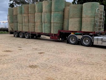 Lucerne Hay/Silage