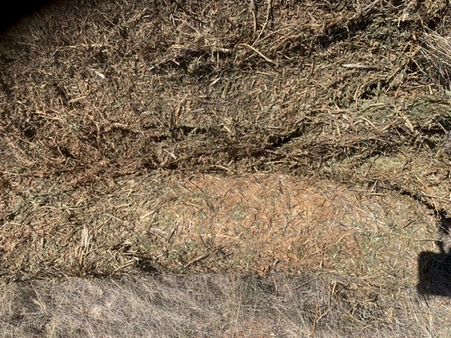 Vetch Hay 5x4 Rolls