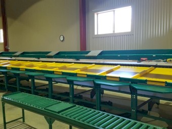 Pianokey Fruit and Vegetable Grader for Sale