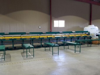Pianokey Fruit and Vegetable Grader for Sale