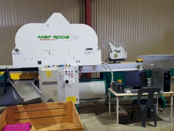 Pianokey Fruit and Vegetable Grader for Sale