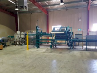 Pianokey Fruit and Vegetable Grader for Sale