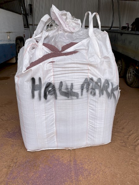1mt Lentil seed