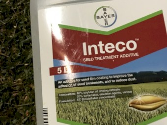 23mt Wheat seed
