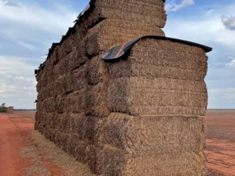 Vetch Hay 8x4x3 Bales