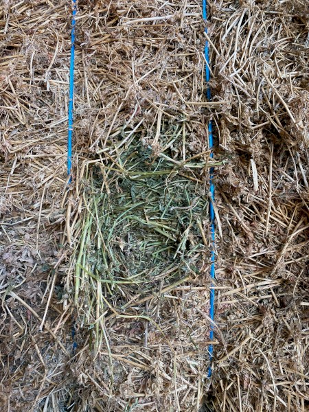 Lucerne Hay 8x3x3 Bales