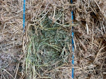 Lucerne Hay 8x3x3 Bales