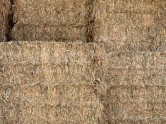 Oaten Hay 8x3x3 Bales