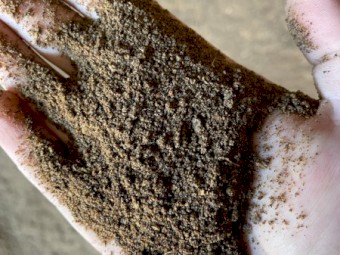 Cottonseed Meal