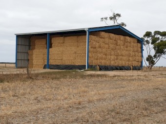 Shedded Medic Hay