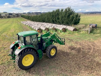 Hay Bales - 5x4 Round - fresh cut Eurabbie Oats