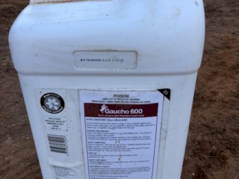Gaucho 600