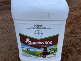 Gaucho 600